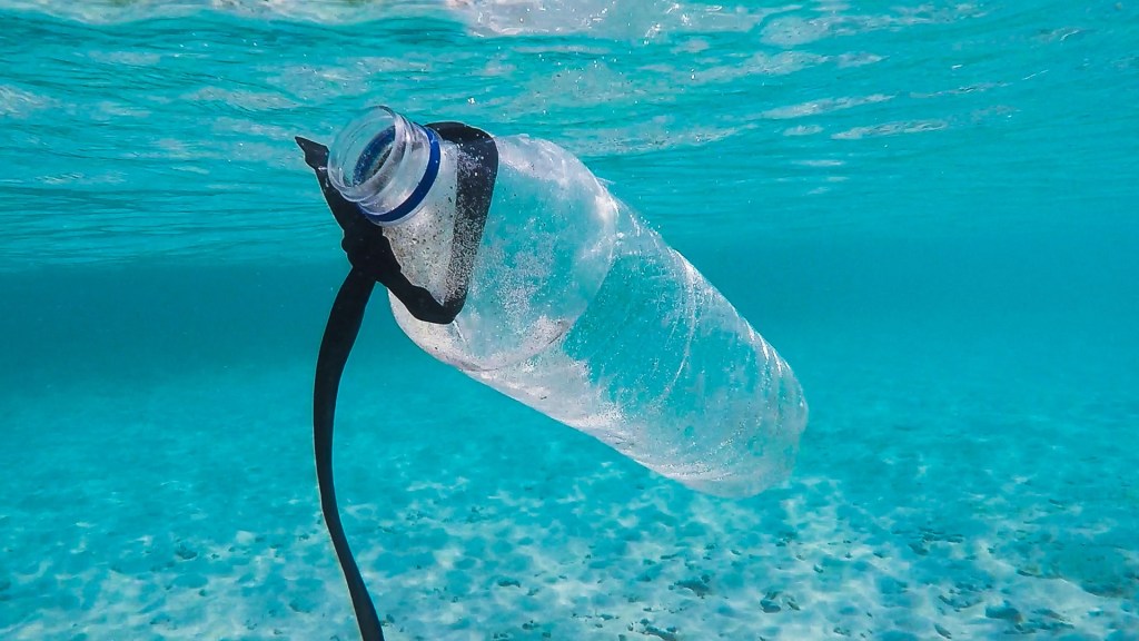 Plástico en el mar. Foto de Brian Yurasits / Unsplash