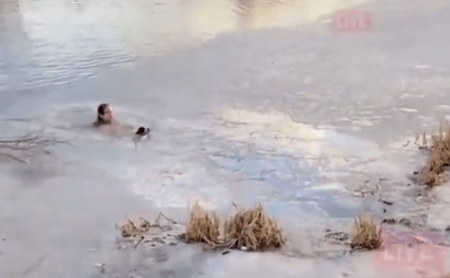 Amor sin límites: Mujer salta a un lago congelado para rescatar a su perro