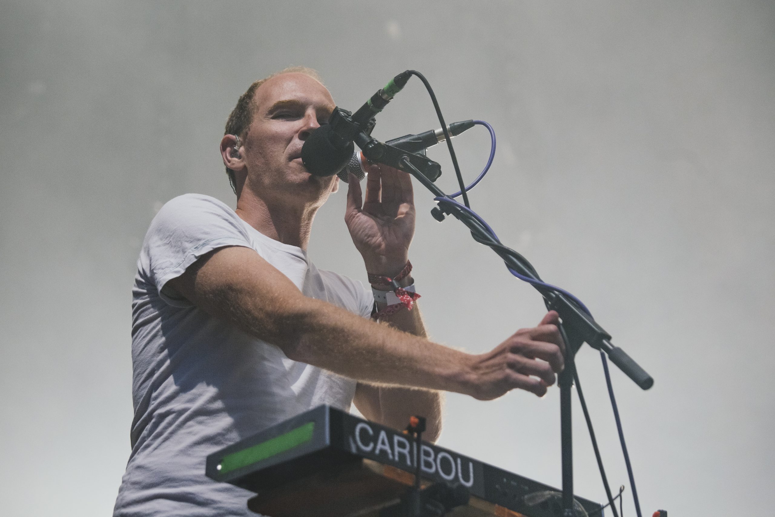 caribou-1