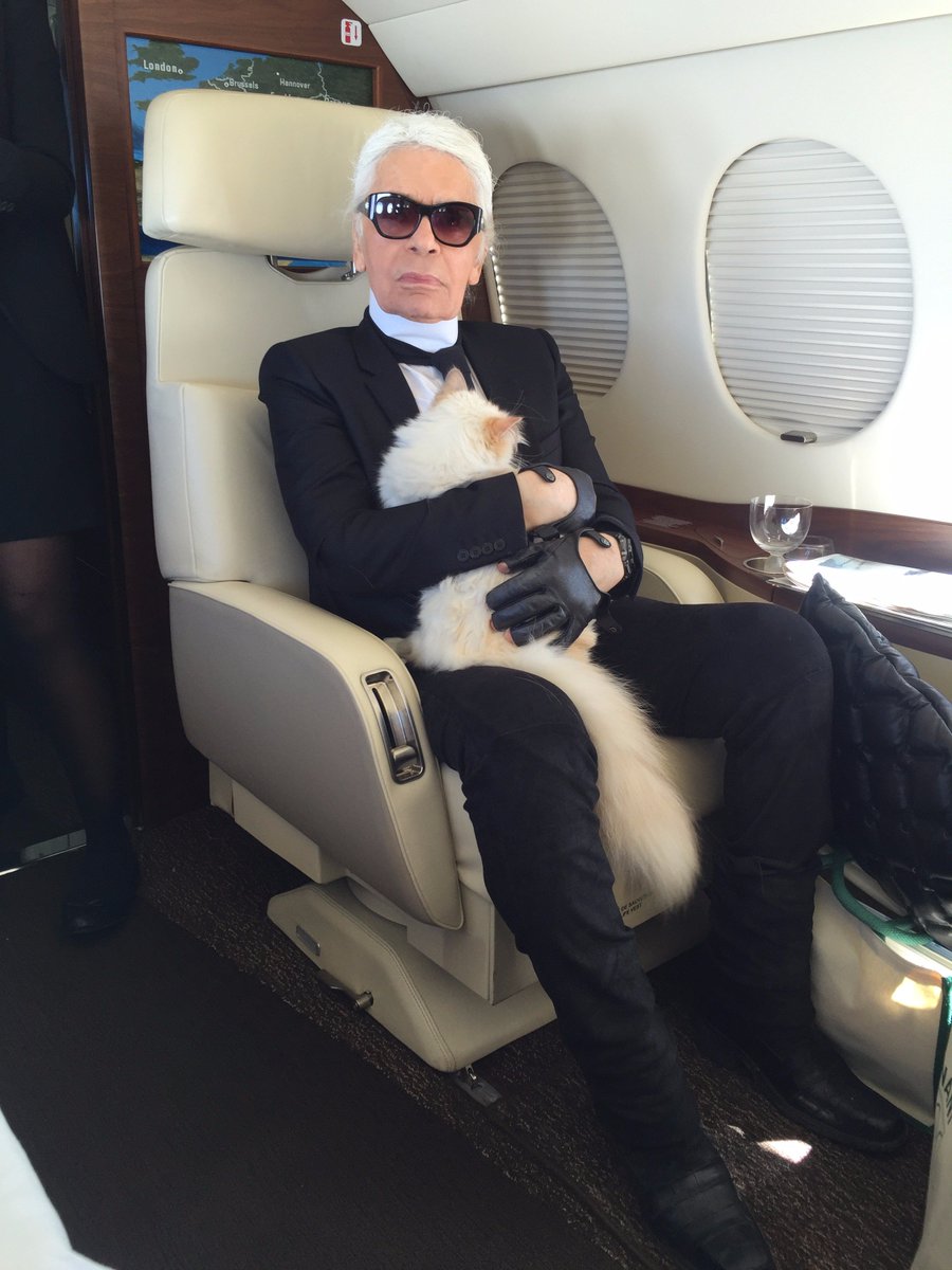 Choupette: el gran amor y heredera de la fortuna de Karl Lagerfeld