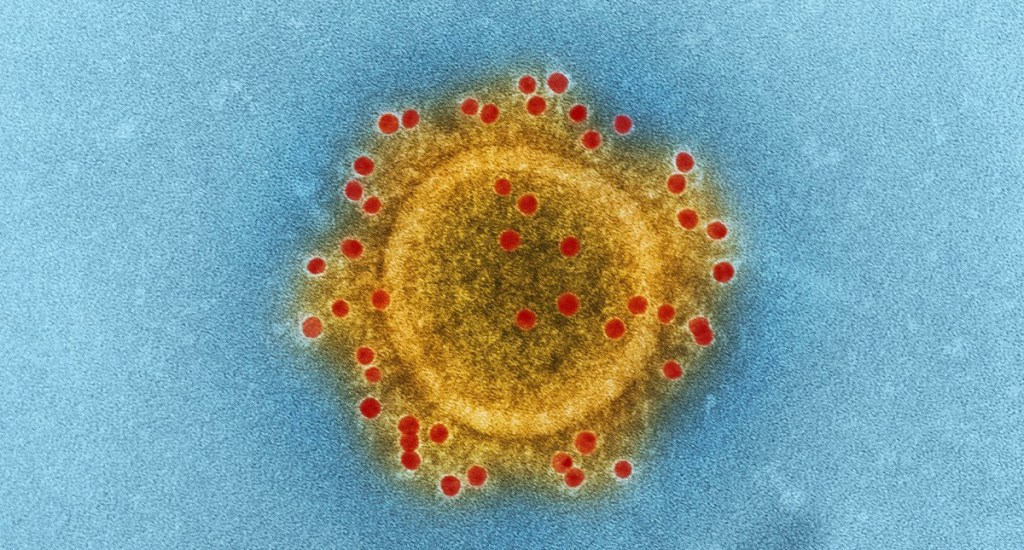 Un grupo de científicos de los institutos nacionales de salud y de universidades mexicanas logró descifrar la secuencia del genoma de los variantes del virus SARS-CoV-2