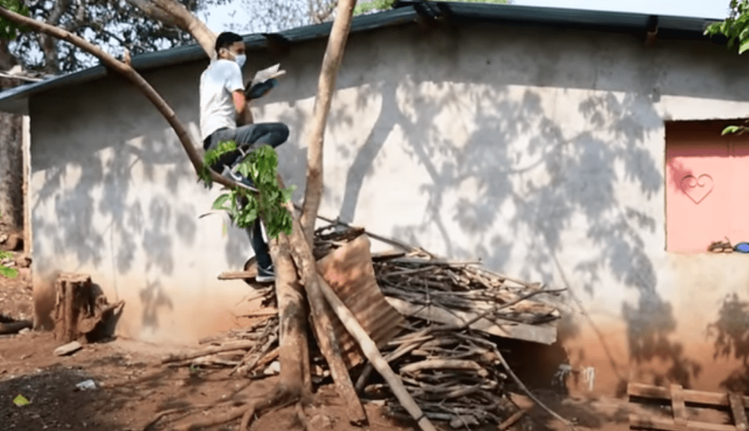 Este joven salvadoreño sube diariamente a un árbol para tomar sus clases en línea