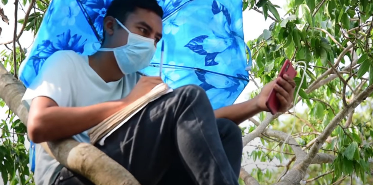 Un joven salvadoreño sin internet en casa sube a un árbol para tomar sus clases en línea