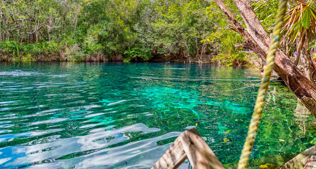 Cenote Aktun-Ha, cerca de Tulum, Quintana Roo