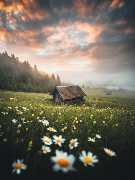 Agora’ publica las mejores fotografías de la primavera 2020