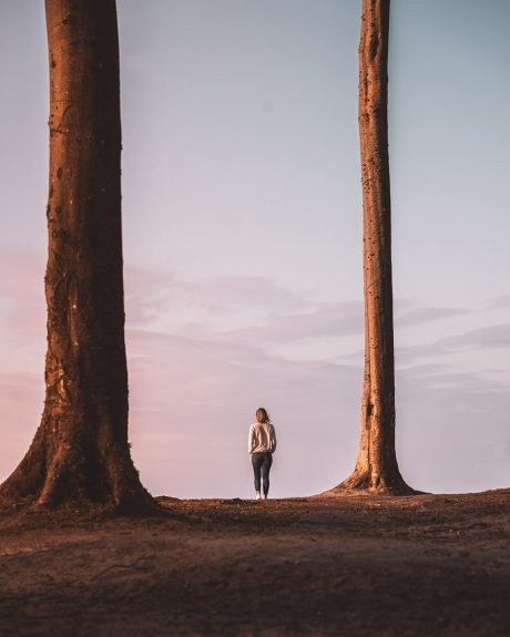 ‘Agora’ publica las mejores fotografías de la primavera 2020