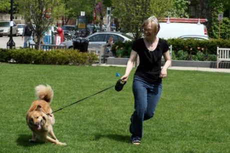 Según la ciencia, la pubertad de los perros es tan difícil como la de los adolescentes