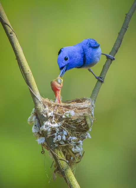 ‘Agora’ publica las mejores fotografías de la primavera 2020