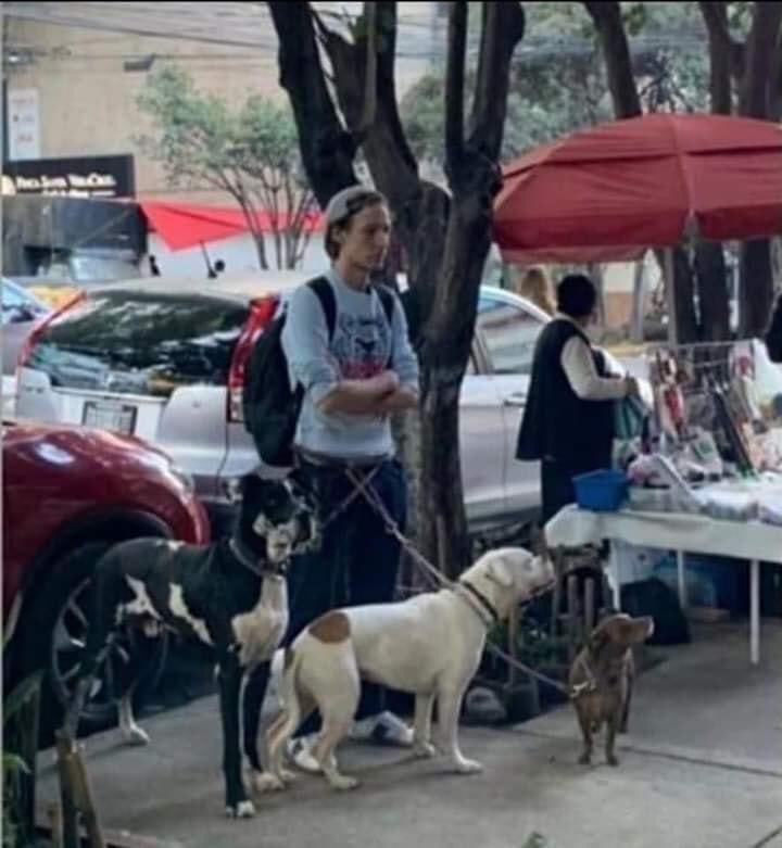 Pablo Fustec: El actor que murió luego de tratar de rescatar a su perrita en Michoacán 