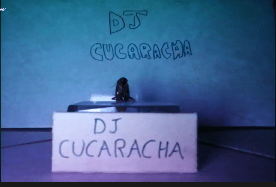 Nace una leyenda: DJ Cucaracha 'transmitió un concierto en vivo' y rompió el internet