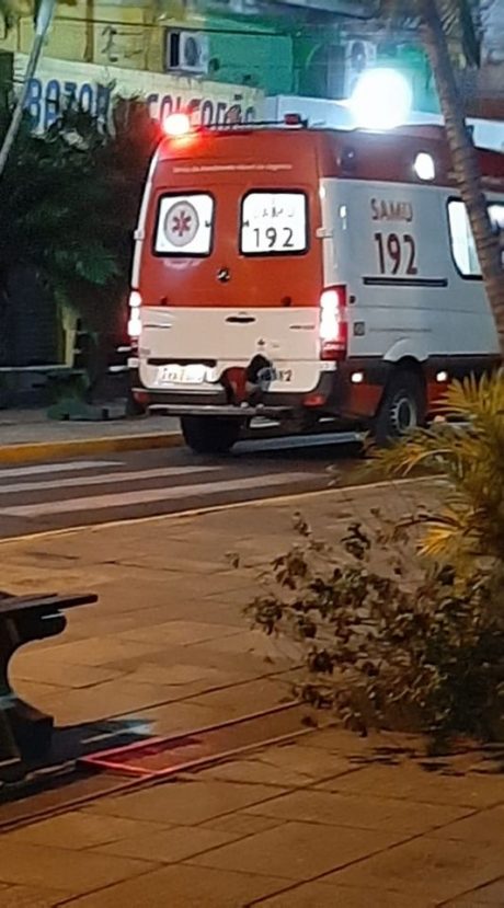 Esta perrita logró subirse a una ambulancia para acompañar a su dueño al hospital