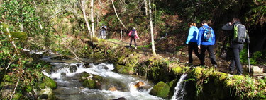 Citas para fotografiar el otoño: el bosque de Muniellos en Asturias