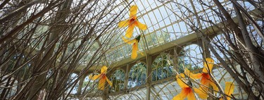 El Reina Sofía retoma sus exposiciones a lo grande, inundando de flores el Palacio de cristal