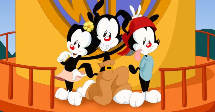 Animaniacs reboot 