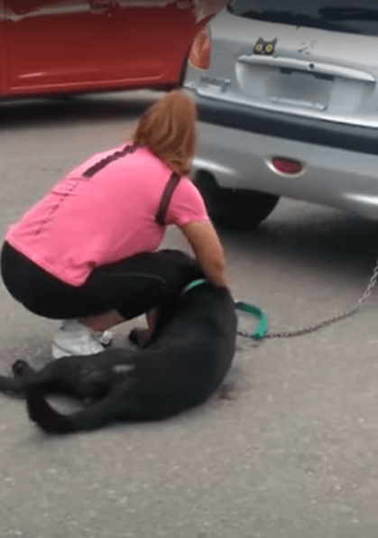 Mujer encadena a su perro al auto y lo arrastra por calles de Argentina