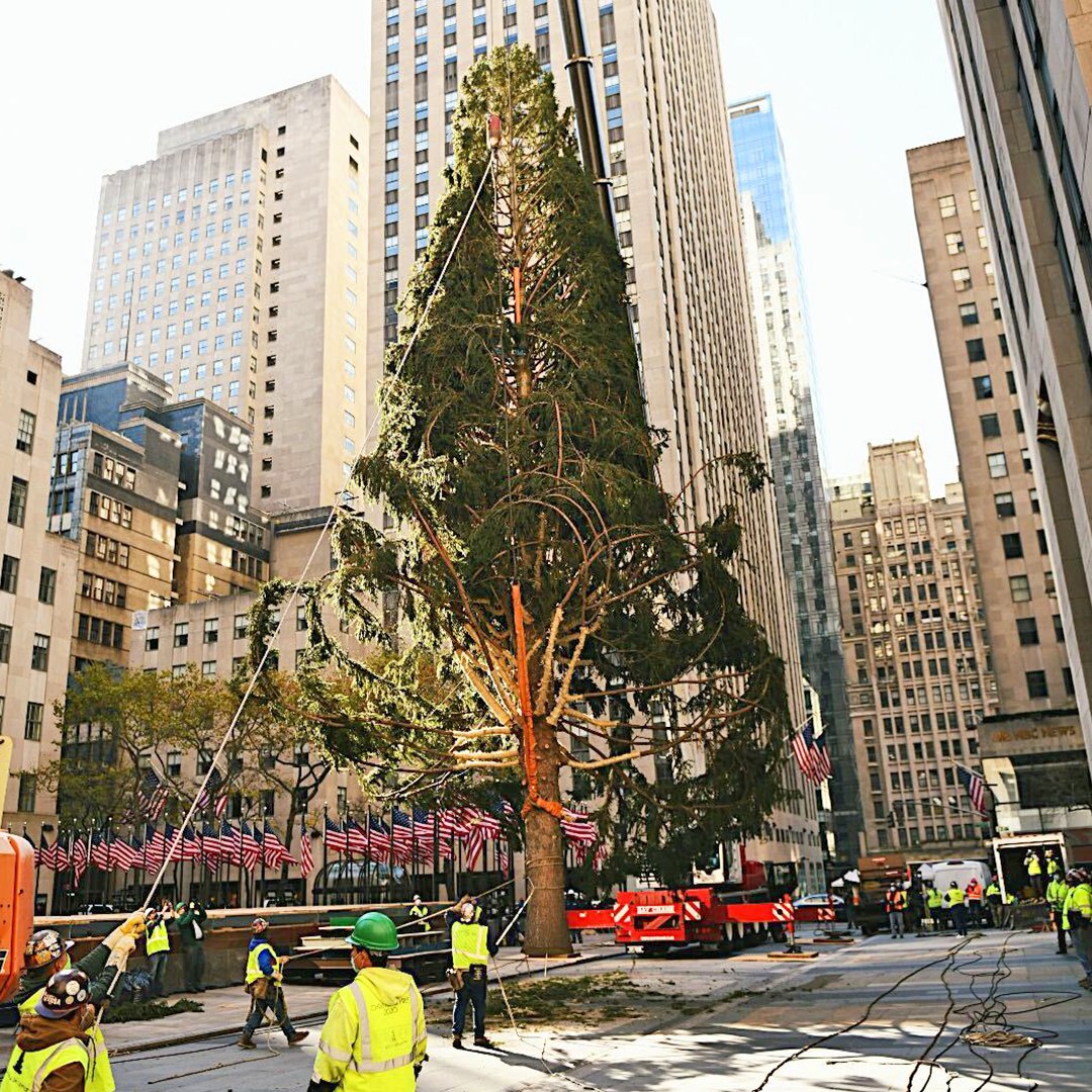 rockefeller-arbol-nueva-york-2020