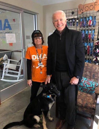 Major, el primer perrito rescatado que vivirá en la Casa Blanca gracias al triunfo de Joe Biden