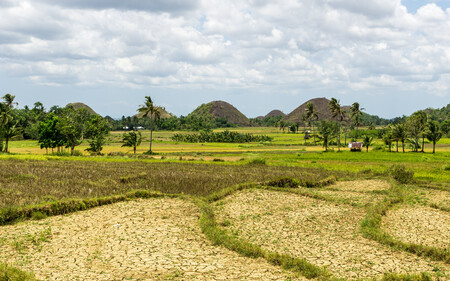 Colinas Chocolate Bohol