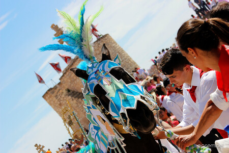 Caballos del Vino Caravaca Cruz