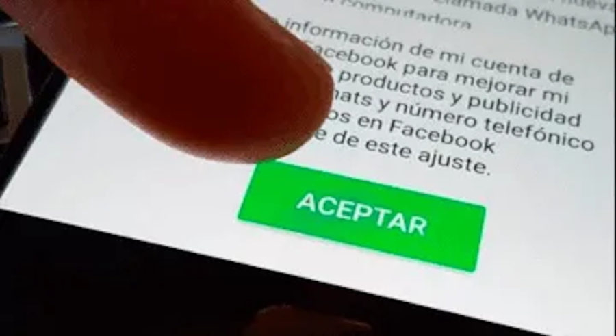 cadena contra términos whatsapp