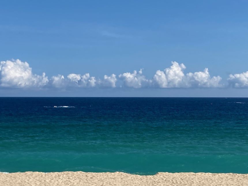 ¡Llegaron las ballenas! Te decimos cómo viajar a Los Cabos ahorrando 