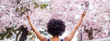 Once ciudades donde los cerezos en flor nos seguirán fascinando