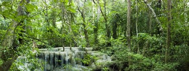 Las cataratas Erawan. Kanchanaburi, Tailandia (III)