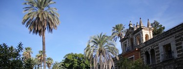 Visita al Real Alcázar de Sevilla