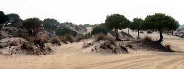 Visitar el Parque Nacional de Doñana: tres itinerarios que enamoran