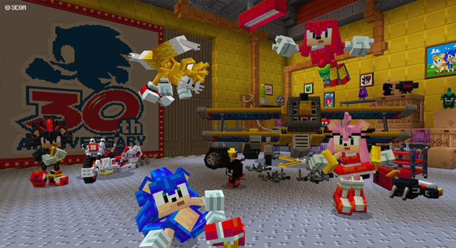 Sonic Minecraft 