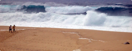 Hotel Row Beach Los Cabos