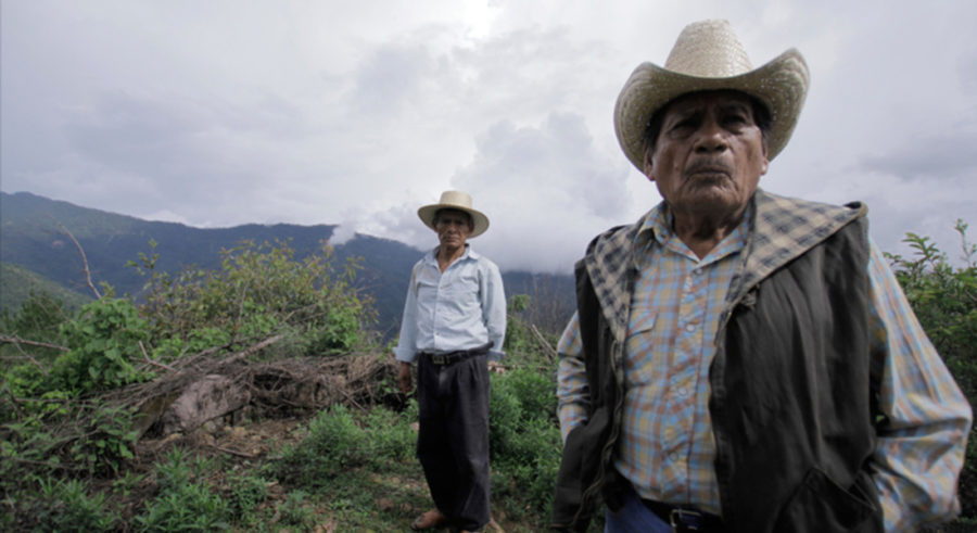 FilminLatino Muestra de cine 