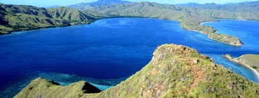 Prohiben el acceso a la Isla de Komodo porque la gente "roba" los dragones