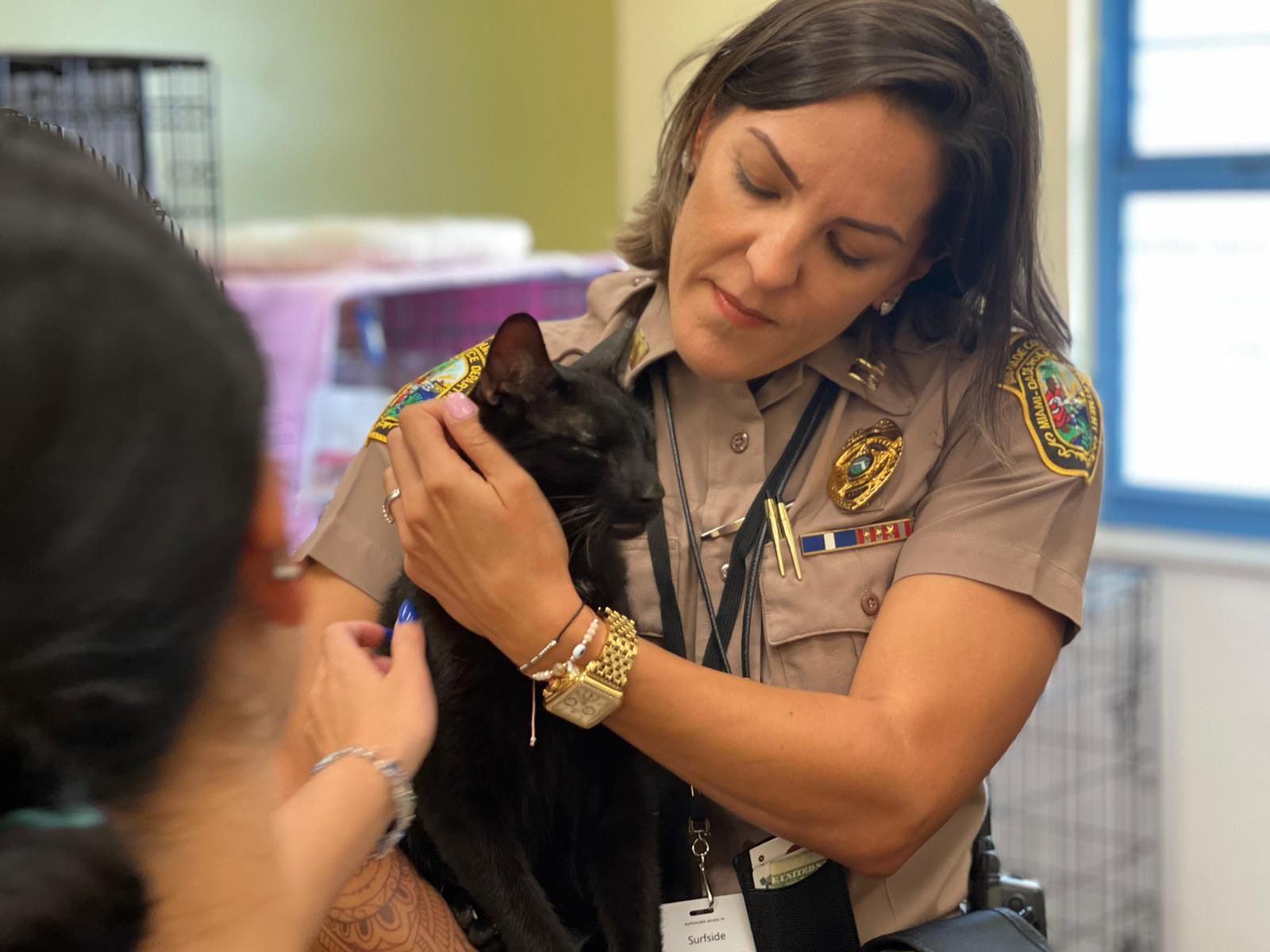 Rescatan a un gatito entre los escombros del edificio de Miami