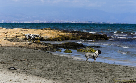 caleta dels Gossets