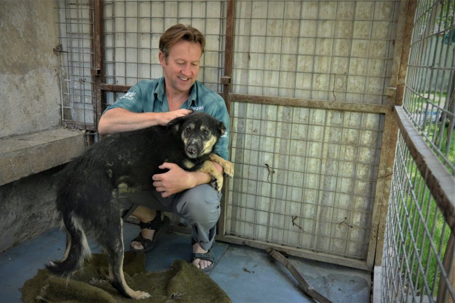 Paul Farthing: El hombre que intenta rescatar a 200 perros y gatos de Afganistán