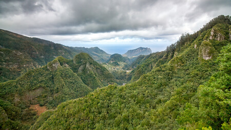 madeira