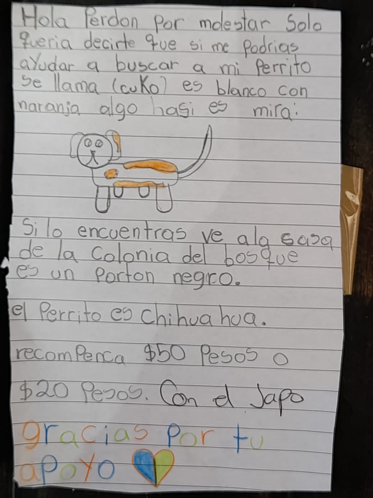 Qué maravilla: Niña buscaba a su perrito con un dibujo y el internet lo ayudó a encontrarlo