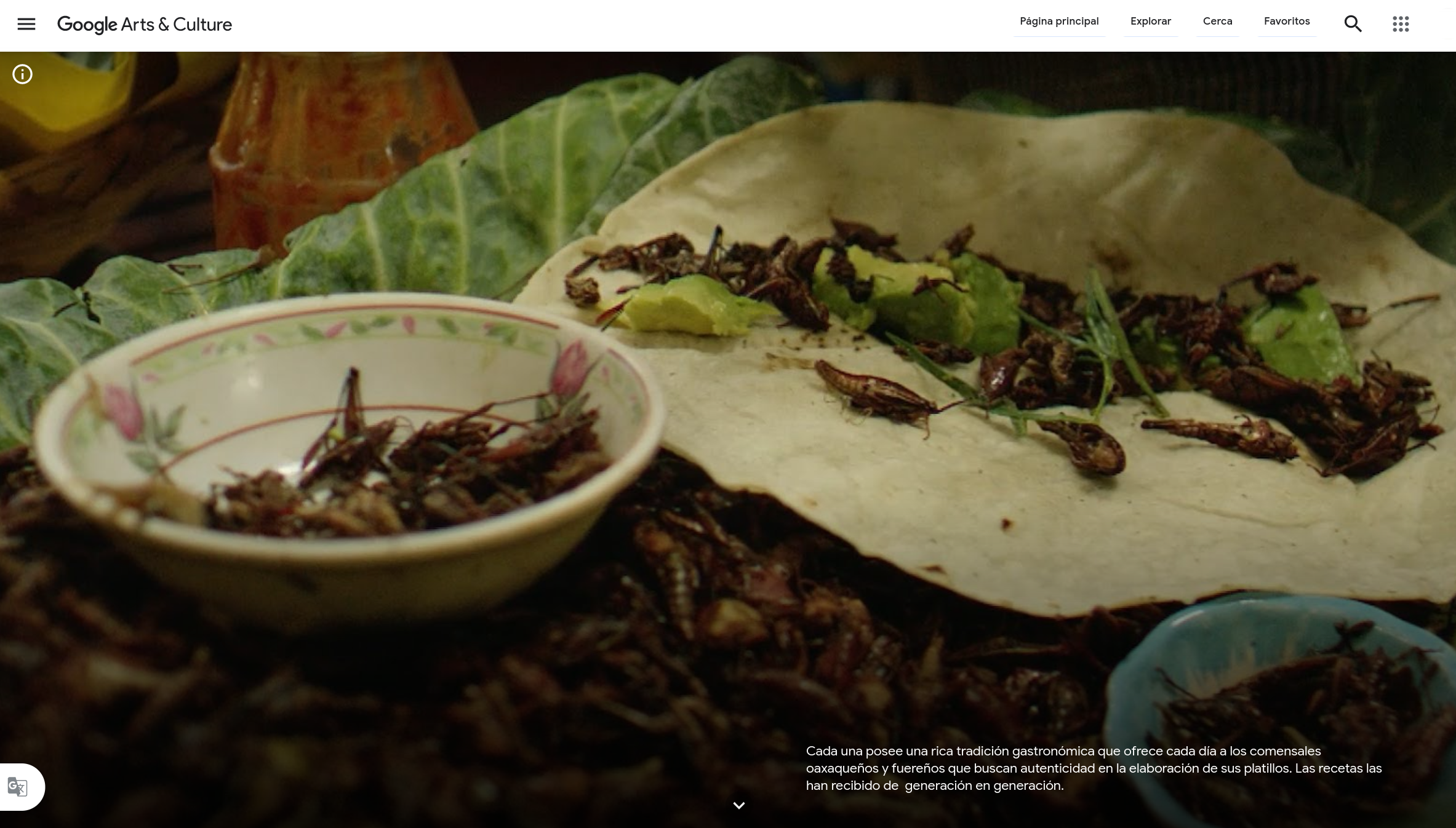 tacos de chapulines de oaxaca.