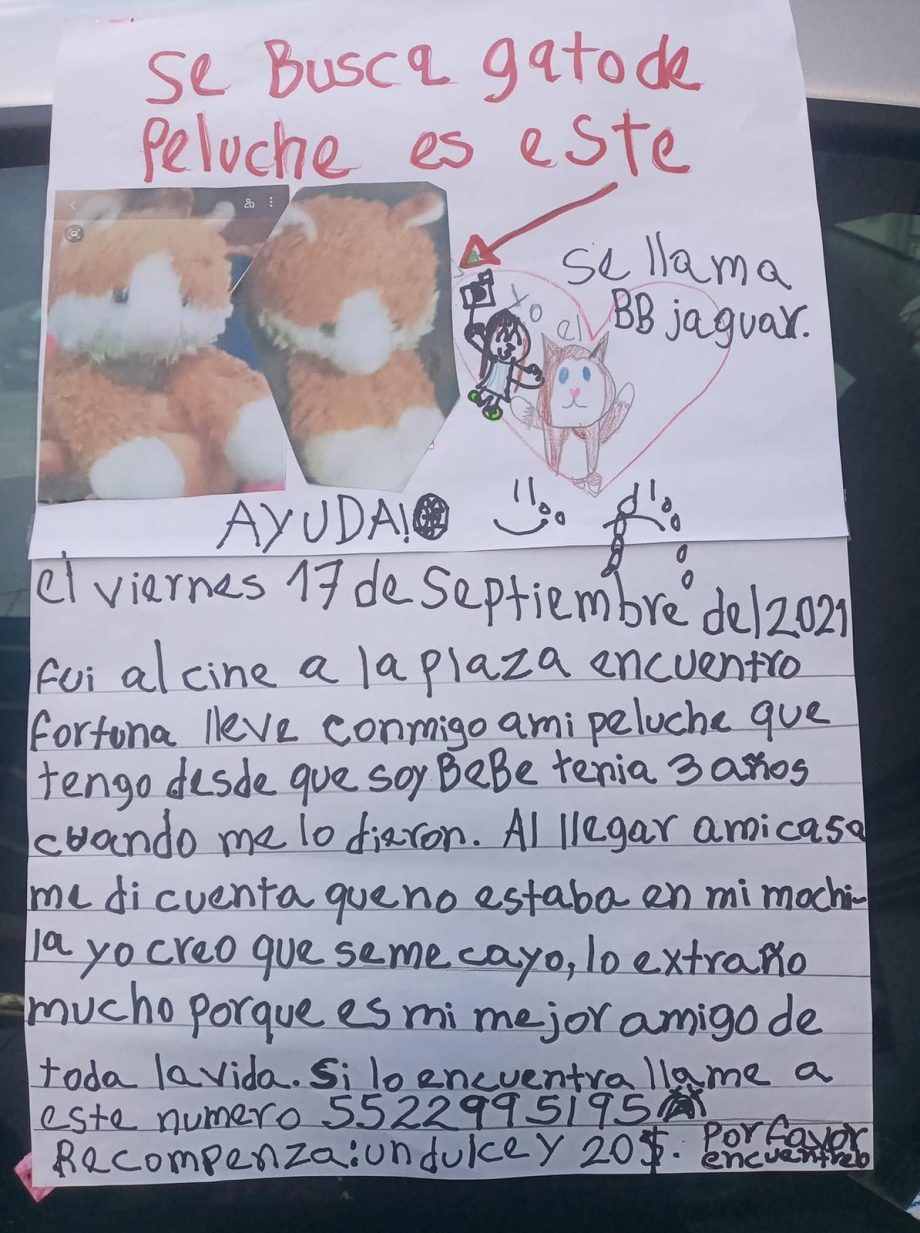 "Lo extraño mucho": Niña ofrece recompensa para encontrar a su peluche y se vuelve viral