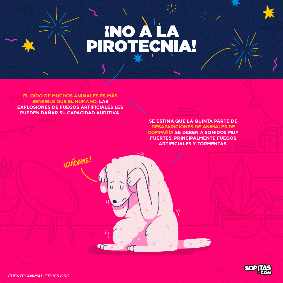 perros-pirotecnia-fuegos-artificiales-cuetes