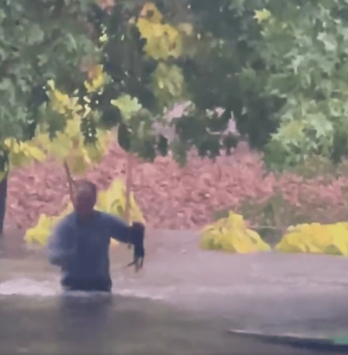 Este hombre rescató a un gatito de morir ahogado en una inundación