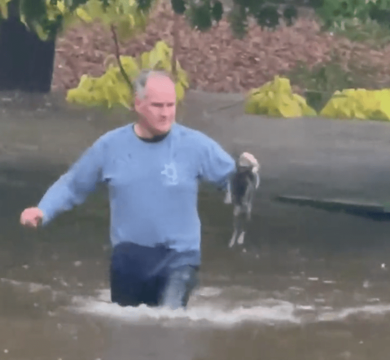 Este hombre rescató a un gatito de morir ahogado en una inundación