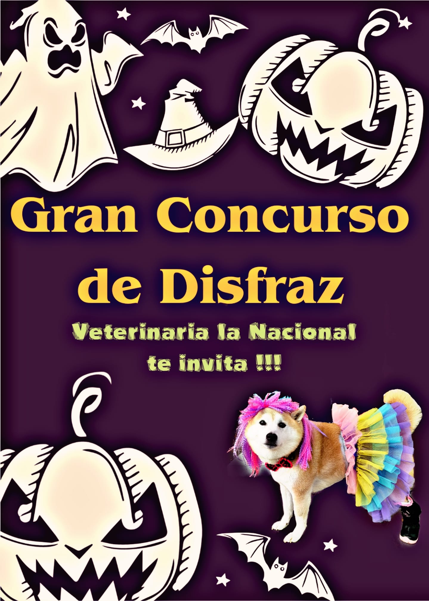 ¡Qué hermosos! Clínica veterinaria organiza concurso de disfraces y es una joya