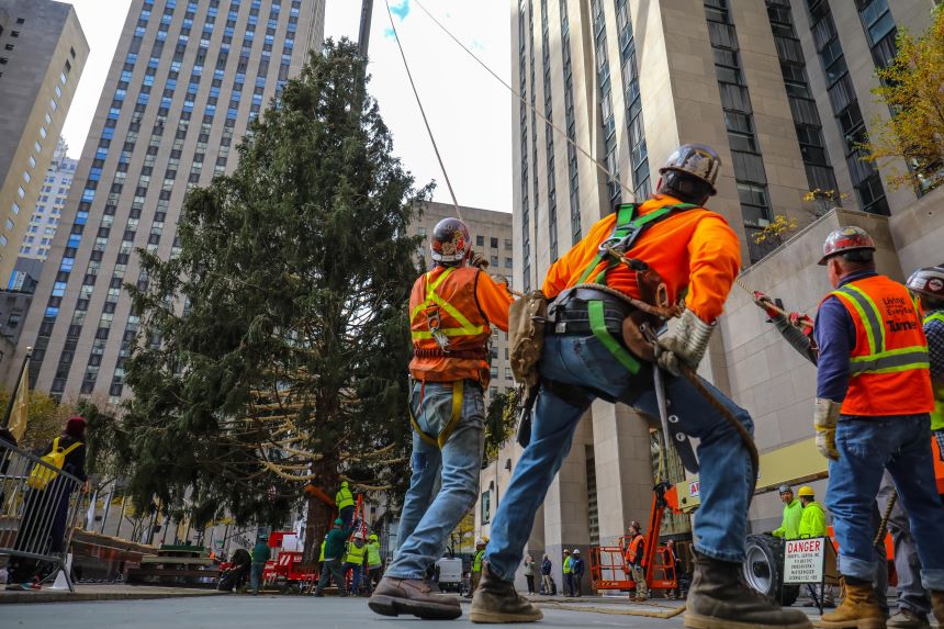 El árbol de Rockefeller Center inaugura oficialmente la temporada navideña