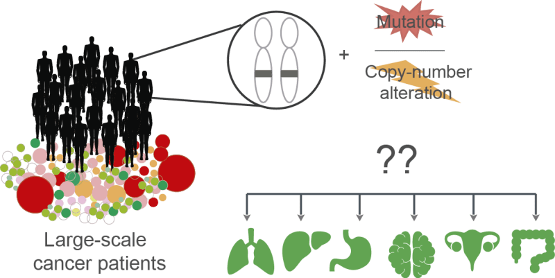 estudio genes Cáncer España