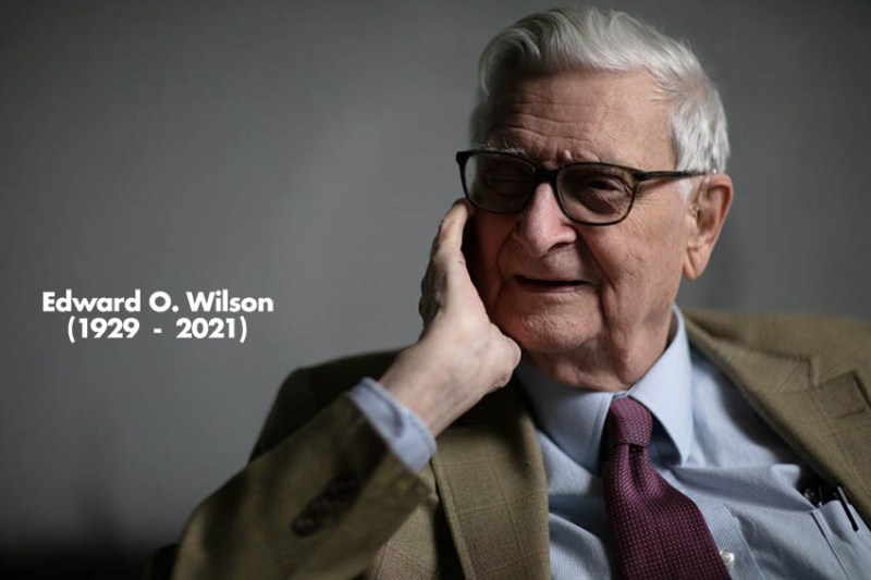 Edward O. Wilson. Foto de Tad Fettig / eowilsonfoundation.