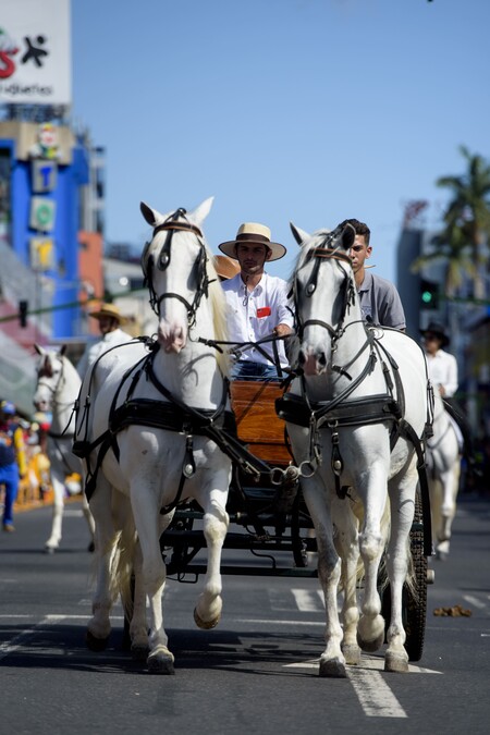 Costa Rica Tope San Jose Horse Parade People 003