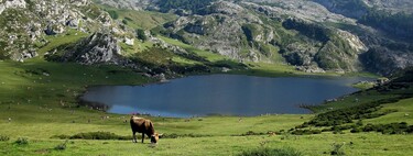 Ruta por Asturias en autocaravana: los mejores recorridos y las mejores áreas para pernoctar