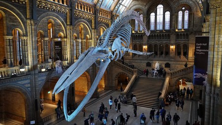 Natural History Museum Gf08b4a168 1920